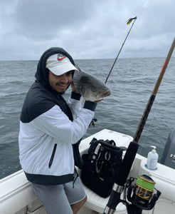 Cape Cod Bay Fishing Report